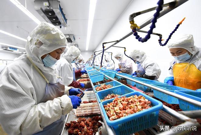 正在加速突围未来将成为餐饮新趋势！麻将胡了外卖时代或将终结？预制菜(图4)